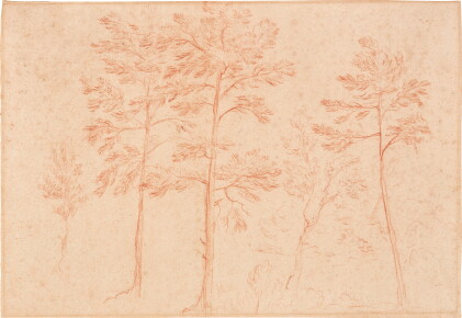 Catalog image of Studies of Trees