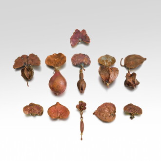 View 1 of Lot 307: Set of Eleven Unique Earrings