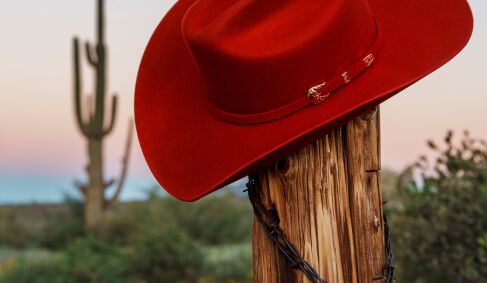 View 2 of Auction: An American Icon: The Fire Horse Stetson