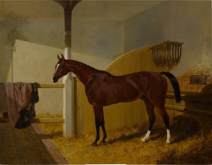 Catalog image of Colonel Peel's Orlando in a Stable