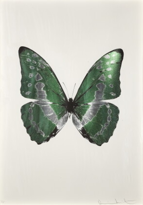 Catalog image of The Souls III (Leaf Green/Silver Gloss/Raven Black)