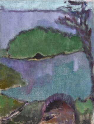 Catalog image of peter doig | saut d’eau