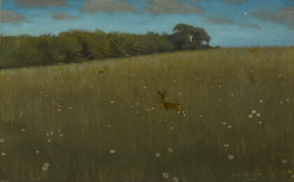 Catalog image of Roe Deer at Dusk