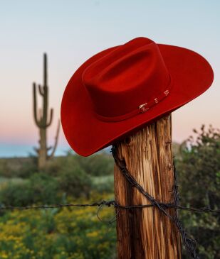 View 2 of Auction: An American Icon: The Fire Horse Stetson