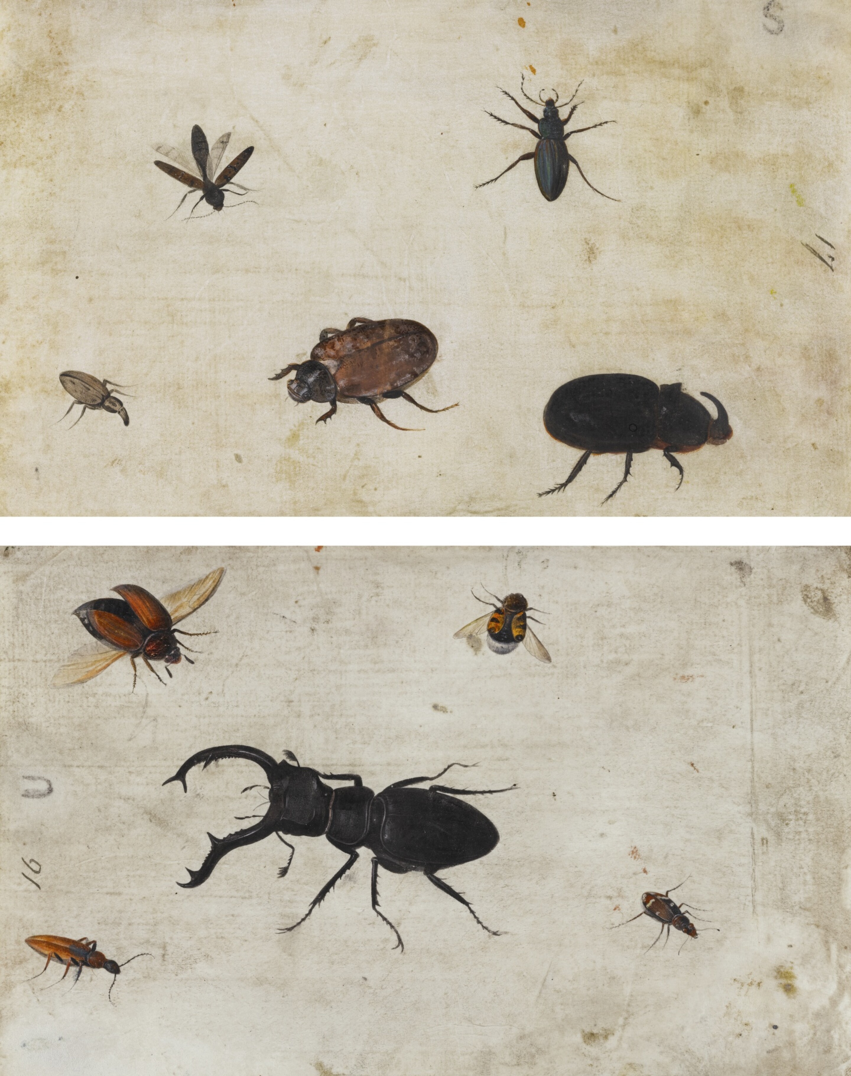 29 Dutch School Early 17th Century 29-dutch-school-early-17th-century