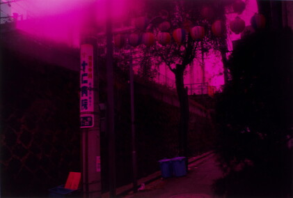 Catalog image of 'City Through the Door', 1983