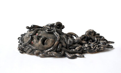 Catalog image of carolein smit | medusa