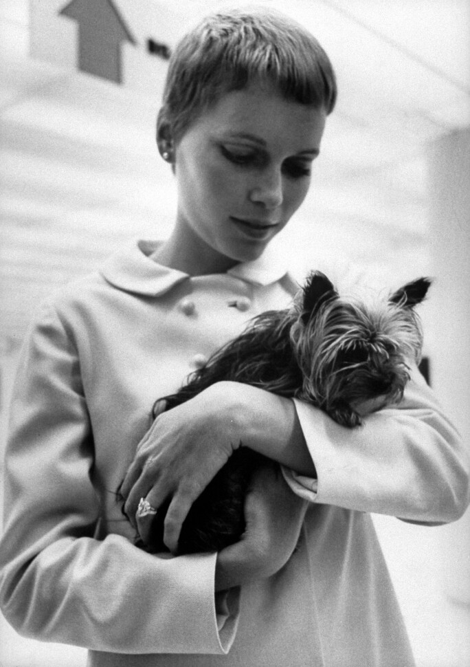 Mia Farrow with Yorkshire Terrier after announcing she will wed Frank Sinatra.