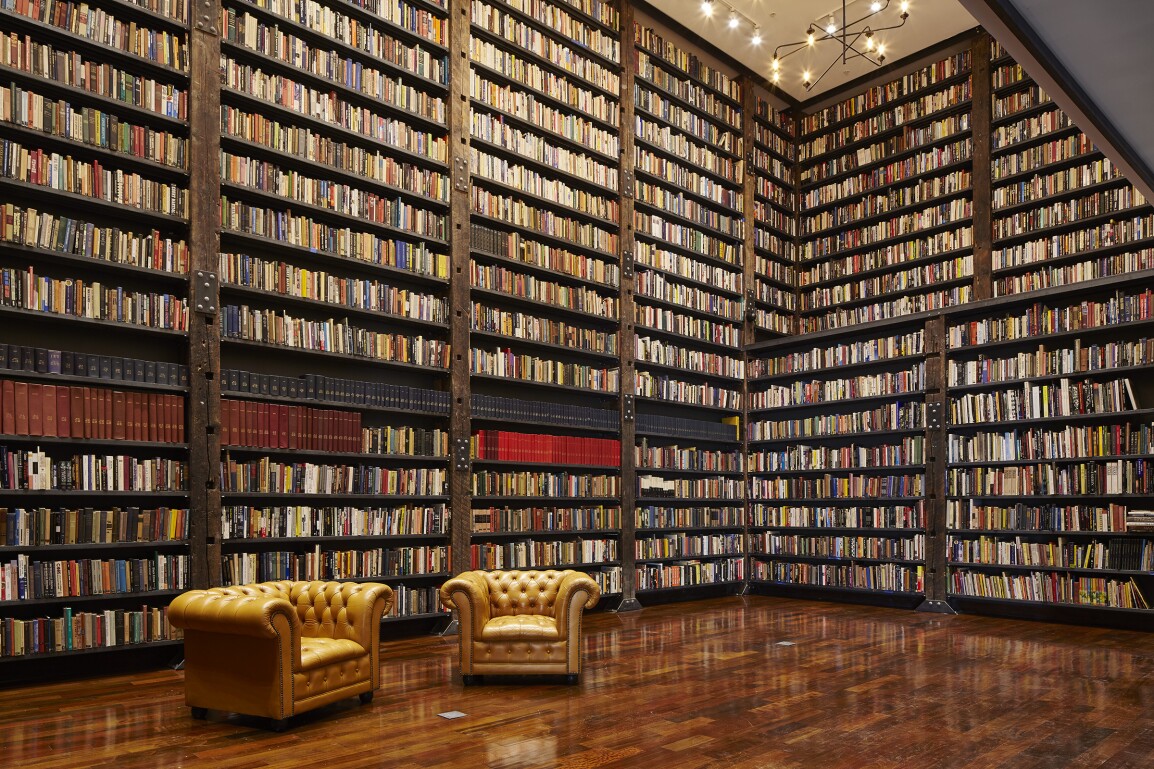 Large room with library and armchairs