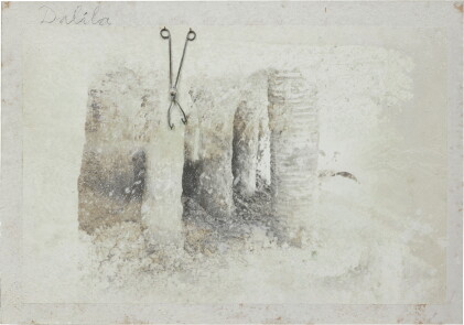 Catalog image of Dalila
