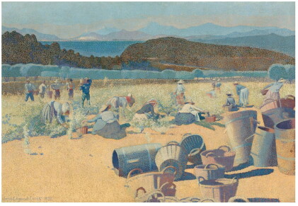Catalog image of Vendanges (Var)