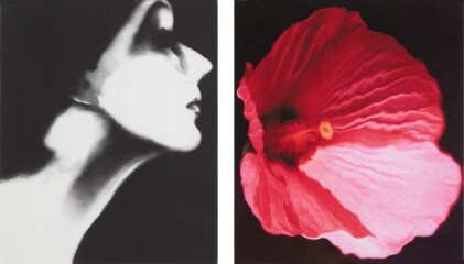 Catalog image of Lisa Fonssagrives, Harper's Bazaar, and Flower 28 (Pink Mallow): a diptych