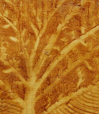 View 1 of Auction: A New Dimension of Tradition: Important American Folk Art, Proceeds of the Sale to Benefit a New Folk Art Initiative at the Museum of Fine Arts, Boston