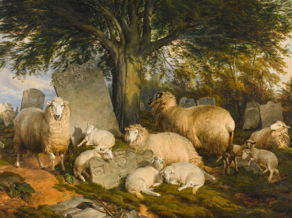 Catalog image of Reposing on God's Acre