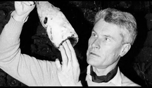 The Extraordinary Wine Collection of Robert Drouhin 