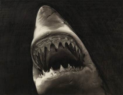 Catalog image of robert longo | study for shark