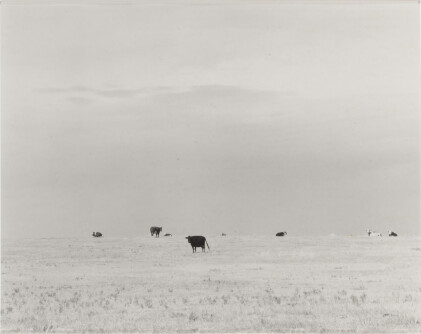 Catalog image of 'North of Briggsdale, Colo.'