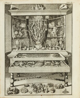 View 1 of Lot 85: Elenchus tabularum... Harlem, 1719. In-4. Cartonnage de l'ép. Catalogue du cabinet de Levinus Vincent.