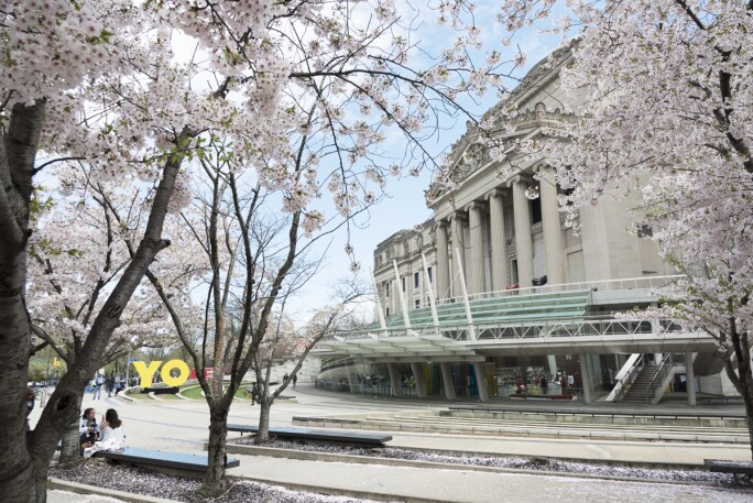 BKM_exterior_cherry_blossoms_20190415_DIG_01_Jonathan_Dorado_PS11.jpg