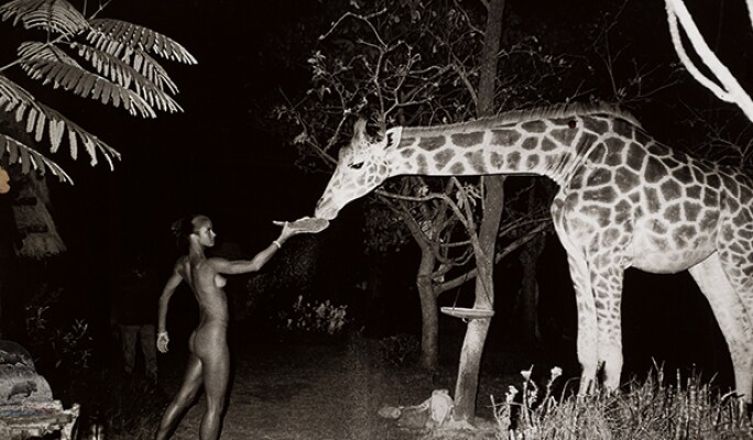 One Of A Kind Photographs By Warhol Man Ray More Photographs
