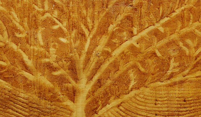 View 1 of Auction: A New Dimension of Tradition: Important American Folk Art, Proceeds of the Sale to Benefit a New Folk Art Initiative at the Museum of Fine Arts, Boston