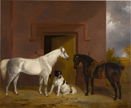 Catalog image of White and Brown Horse in a Farmyard with Dog