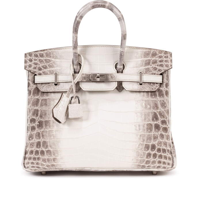Himalayan Birkin 25