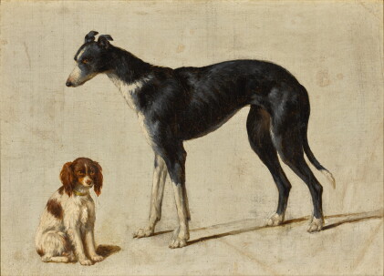 Catalog image of A seated Cavalier King Charles spaniel and a standing greyhound
