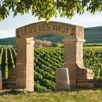 View 2 of Auction: 163e Vente des Vins des Hospices de Beaune