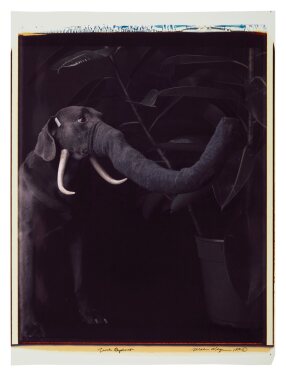 View 1 of Lot 214: 'Trick Elephant'