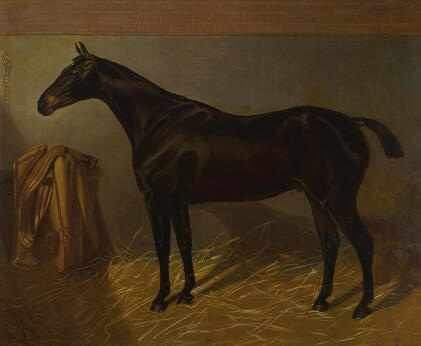 Catalog image of walter harrowing | bay hunter in a stable