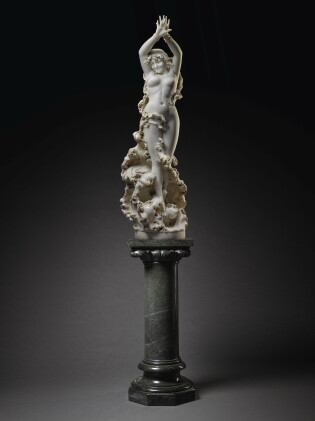 Catalog image of fortunato galli | sea nymph
