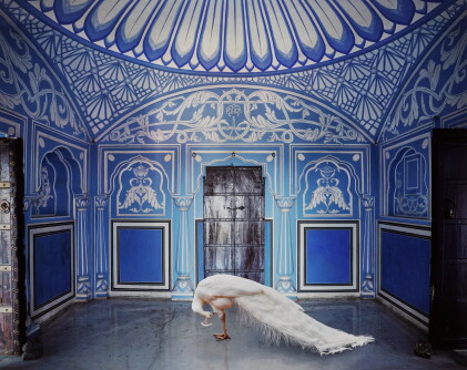 Catalog image of 'Ganesha’s Mount, Chavi Niwas, Jaipur' (from the series India Song), 2020