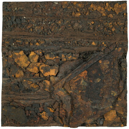 Catalog image of boyle family | rust study