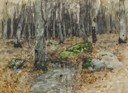 Catalog image of Woodland
