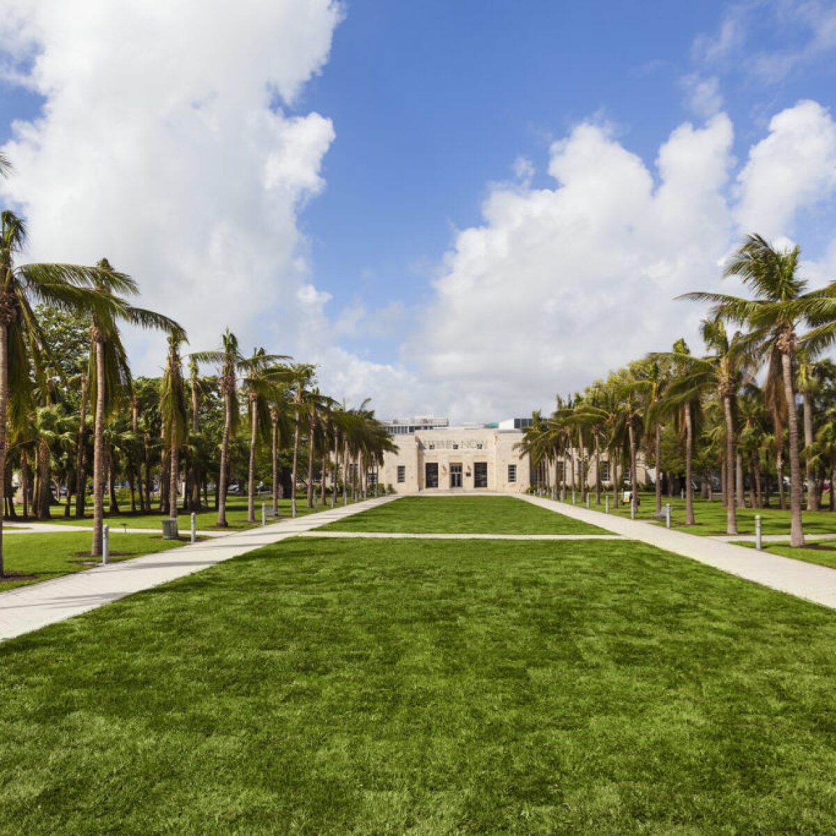 Museums, Art, & Exhibitions in Miami| City Guide by Sotheby's