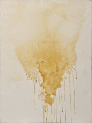 Catalog image of Piss