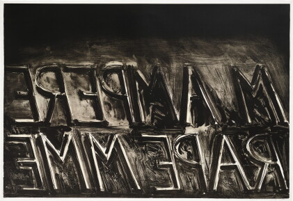Catalog image of bruce nauman | m. ampere (c. 21)