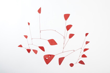 Catalog image of Thirty Inches of Red