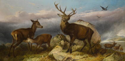 Catalog image of richard ansdell, r.a. | home of the red deer