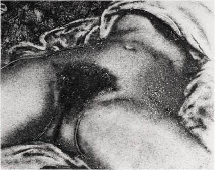 Catalog image of vik muniz | the origin of the world (after courbet) (from pictures of soil)