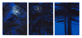 View 1 of Lot 447: Triptych (Night Pines, Fall 2007), 2007