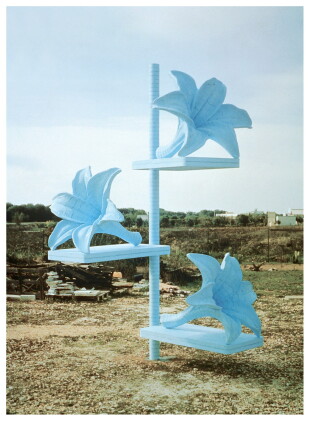 Catalog image of Untitled