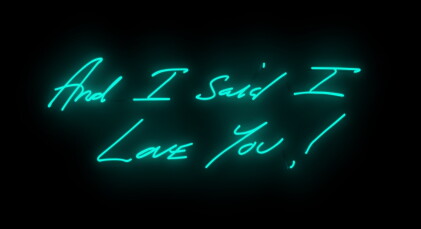 Catalog image of And I Said I Love You!
