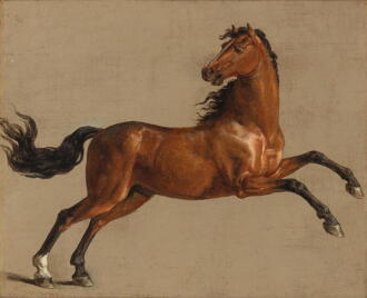 View 1 of Lot 164: Portrait of a Bay Stallion