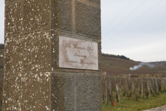 View 1 of Lot 1638: La Grande Rue 2021 Nicole Lamarche (6 BT)