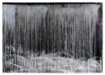 Catalog image of Waterfall of the Asian Night