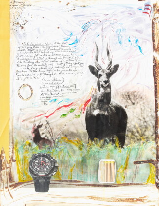 Catalog image of Large Horned Bushbuck, ca 1975