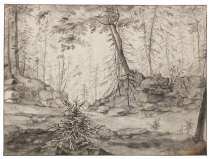 Catalog image of A path through woods