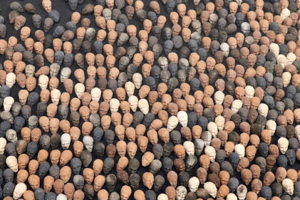 Catalog image of Terre